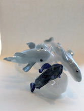 White Shark Jon Bennett
