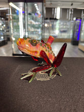 Hops Musical Frog