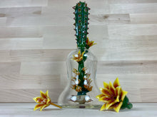 Unparalleled - Cactus Terrarium #2 (Flower Cluster)